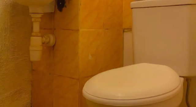 Одноместный номер Standard OYO 208 G House