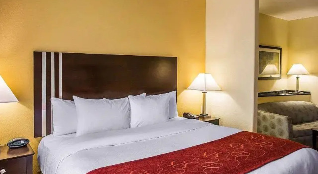 Двухместный номер Standard c 1 комнатой Comfort Suites Simpsonville - Greenville
