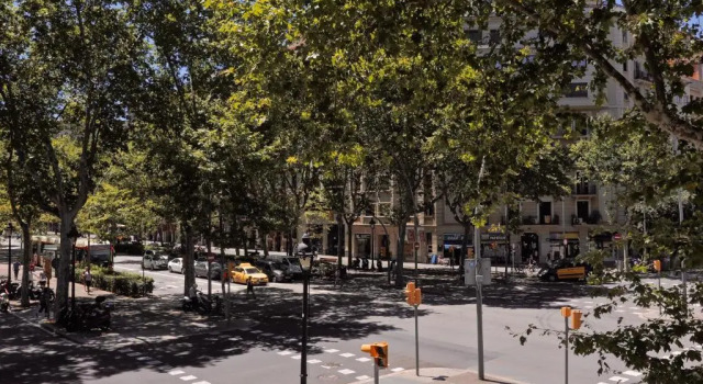 Апартаменты Central Park II
