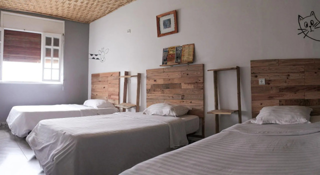Кровать в общем номере BigBlue Surf Experience Hostel
