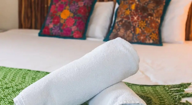 Standard double chambre Hotel La Chaya