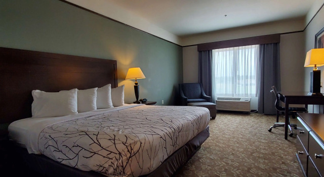 Двухместный номер Standard Best Western Plus Emory at Lake Fork Inn & Suites
