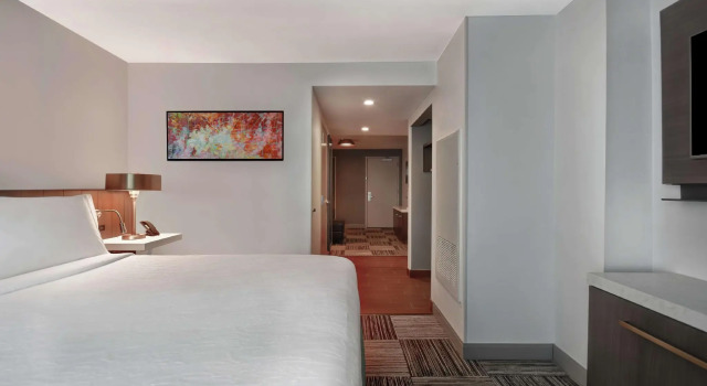 Двухместный номер Accessible Hilton Garden Inn Houston/Galleria Area