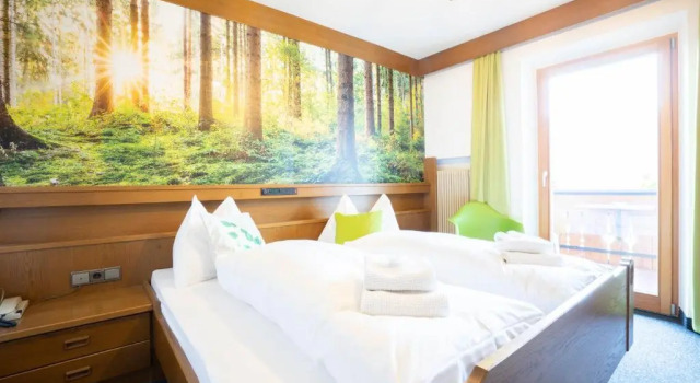 Двухместный номер Standard с балконом Guesthouse Pension Grafenstein