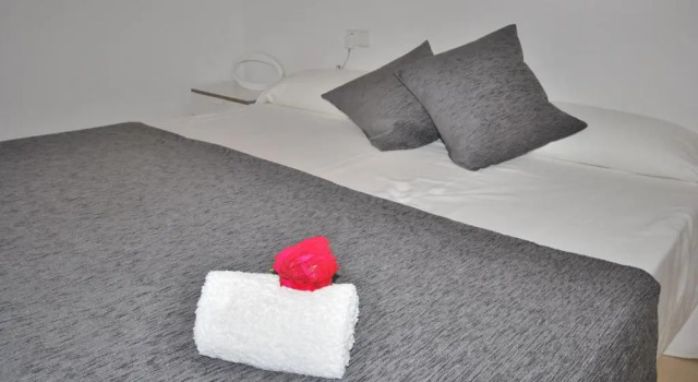 Appartamento 1 camera da letto Apartamentos Alborada