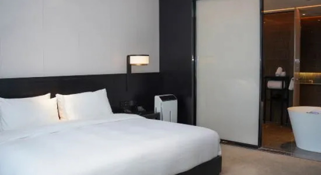 Люкс Executive c 1 комнатой Jinan Ziyue Meixiu Hotel