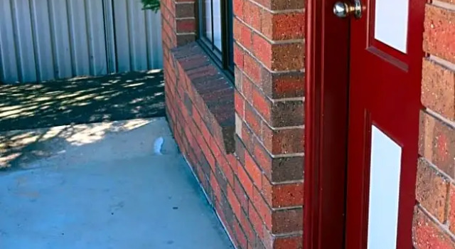 Номер Standard Bendigo Haymarket Motor Inn