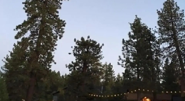 Двухместный коттедж Golden Bear Cottages