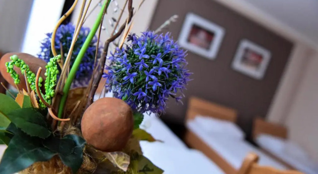 Четырёхместный номер Standard Hostel Milkaza