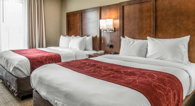 Четырёхместный люкс Comfort Suites Dunnellon near Rainbow Springs