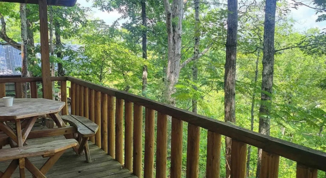 Standard Zimmer Riverview Cabins