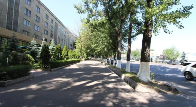 Апартаменты Nadezhda Apartments in touristic area, on the Dostyk avenue 89