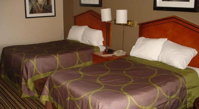 Четырёхместный номер Standard Super 8 by Wyndham Chattanooga/East Ridge