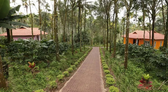 Himadri Retreat Cottages