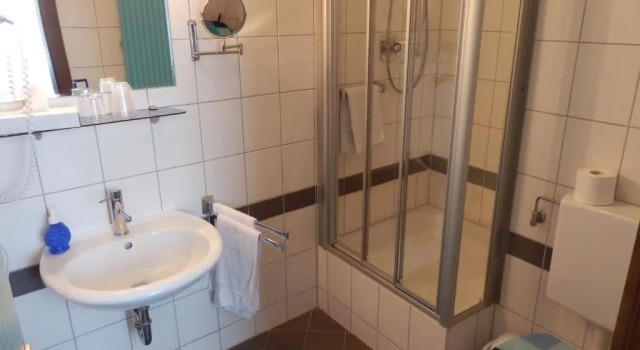 Двухместный номер Standard Hotel Rheinischer Hof