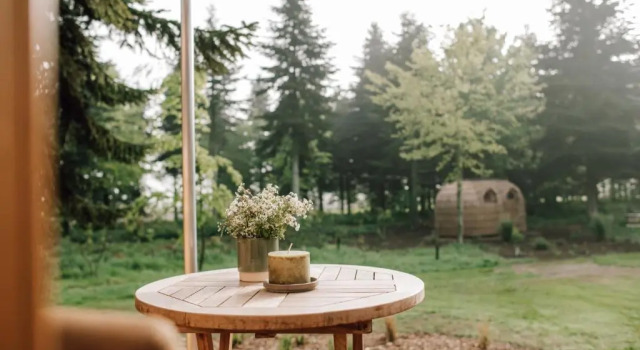 Апартаменты Tiny House, Kleinod im Grünen