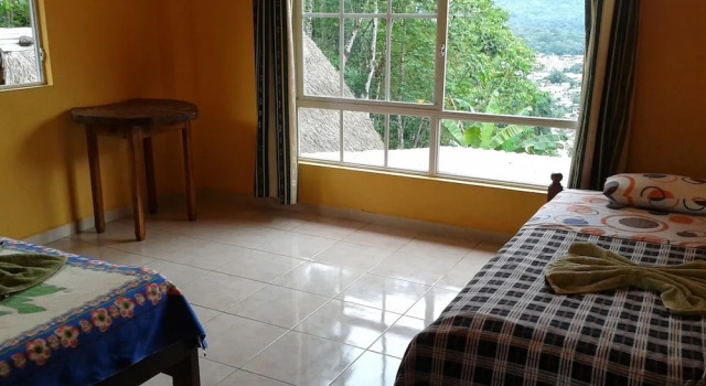 Standard Einzel Zimmer mit Gartenblick Hostal Tena Ñaui