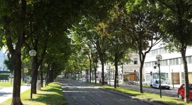 Sobieski Ring Apartments, Забронировать Апартаменты/квартира Апартаменты Вены, рядом с Парк Ратхаус, Апартаменты/квартира