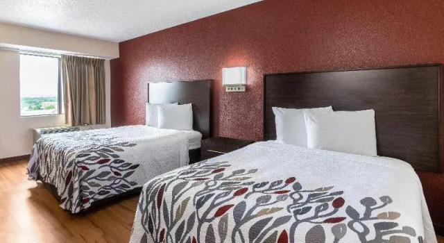 Номер Standard Red Roof Inn El Paso West