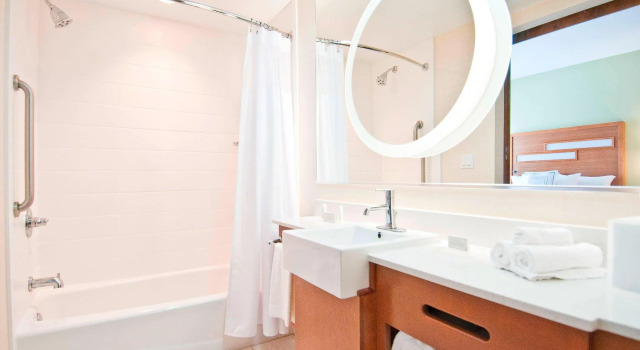 Двухместная студия SpringHill Suites by Marriott Baton Rouge Gonzales