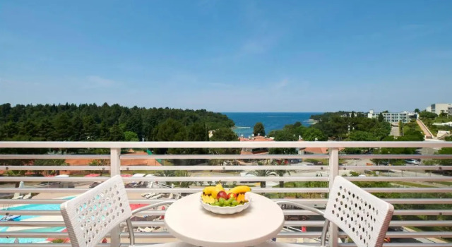 Номер Superior Hotel Albatros Plava Laguna