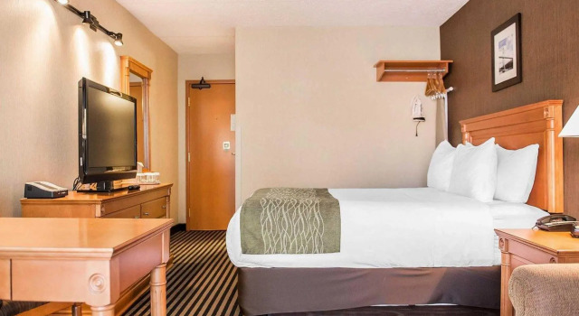 Одноместный номер Standard Comfort Inn