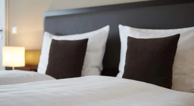 Номер Standard nordica Hotel Friesenhof