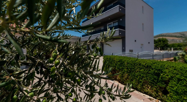 Villa Dalmata