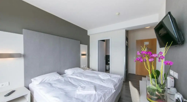 Двухместный номер Standard с балконом и с видом на озеро Hôtel Prealpina