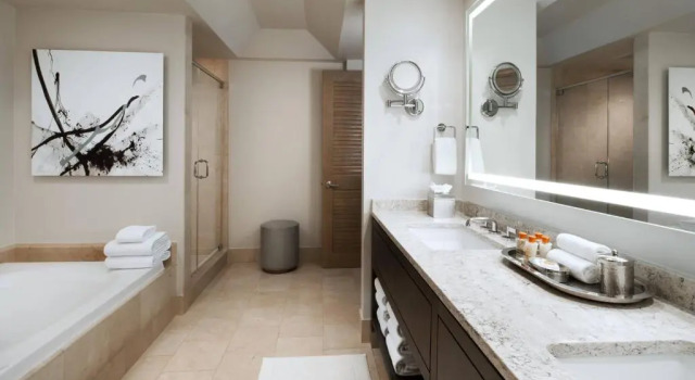 Двухместный номер Standard с балконом The Canyon Suites at The Phoenician, Luxury Collection