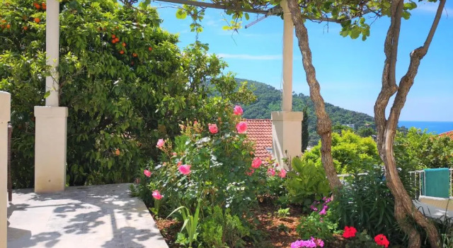 Студия Beautiful Sea View Apartments
