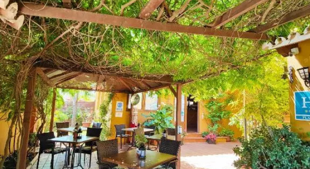 Номер Standard Hotel Doñana Blues