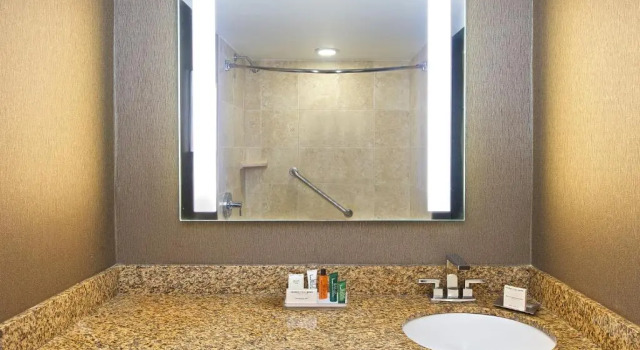 Номер Standard Hilton St. Petersburg Bayfront