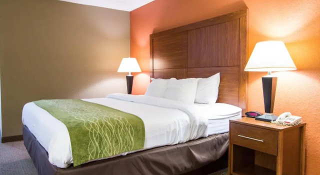 Номер Standard Comfort Inn & Suites Charleston Airport Convention Center
