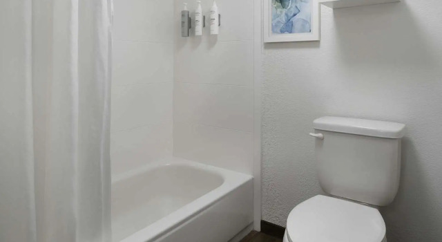 Номер Standard Hampton Inn Hilton Head