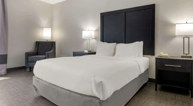Двухместный номер Standard Comfort Inn & Suites Greer - Greenville