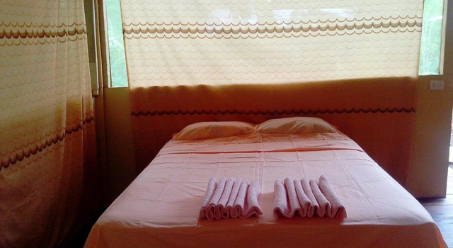Amazon Eco Tours & Lodge