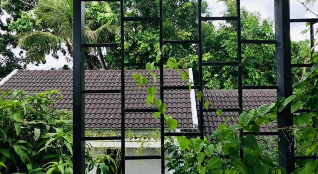 Двухместный номер Standard Hoàng Ngọcs House