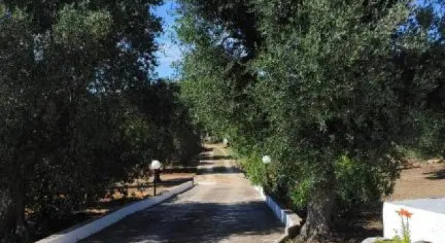 Casa vacanze in Valle D'Itria, Buchen Sie Hotel Ceglie Messapica Itria-Tal