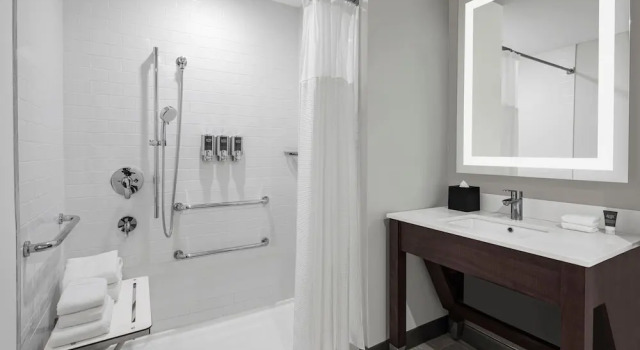 Номер Deluxe Four Points by Sheraton Flushing