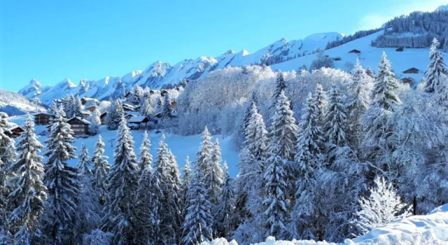 Appartement La Clusaz, 3 pièces, 6 personnes - FR-1-459-49, Забронировать Апартаменты/квартира Ла-Клюза Лыжный курорт на озере Анси