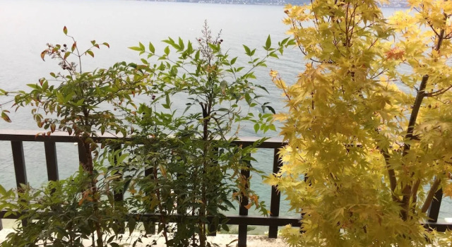 Апартаменты с 2 комнатами с балконом и с видом на озеро Flat Lake Garda With Very Panoramic View