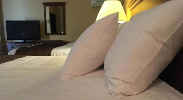Четырёхместный номер Standard Motel Cofotel