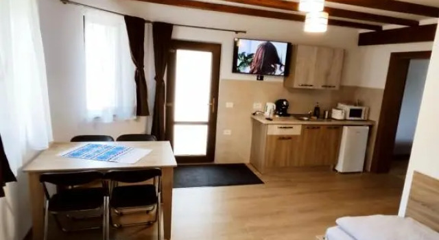 Pensiunea ANCA, Book Hotel Statjunea Borsa Maramureş