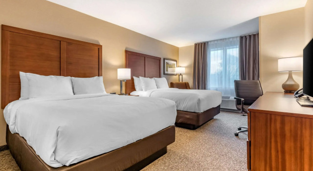 Четырёхместный номер Standard Comfort Inn & Suites