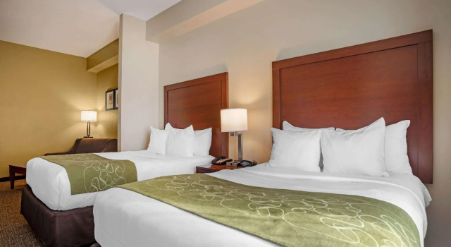 Четырёхместный люкс Comfort Suites Foley - North Gulf Shores