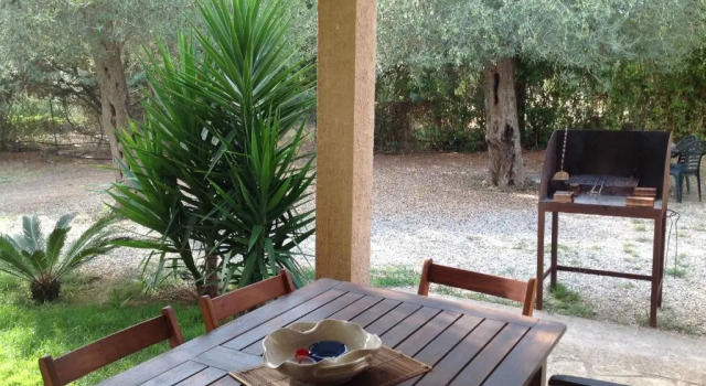 Gli Ulivi