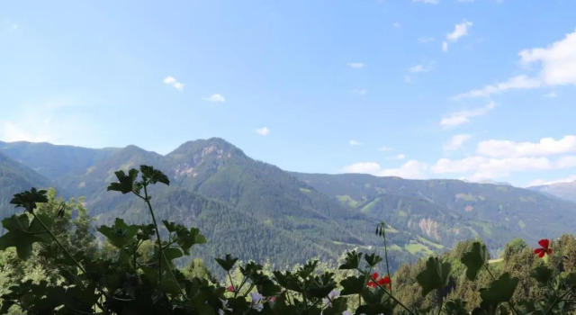 Номер Standard Pension Bichlgeiger