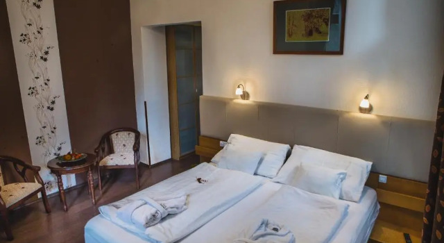Двухместный номер Superior Főnix Wellness Resort