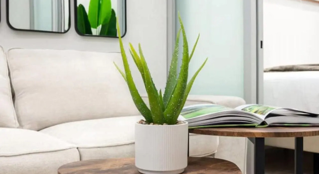 Апартаменты 317-1b Modern 1Br UES W D